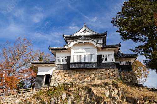 天空の城 備中松山城天守閣と紅葉 国指定重要文化財