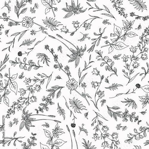 Seamless floral pattern in vintage style. Leaves and herbs. Botanical illustrations. Vector design elements.Black and white. Engraving.