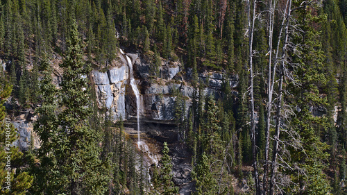 Beautiful waterfall on rocky slope between coniferous forest in Banff National Park, Alberta, Canada viewed from Icefields Parkway on sunny day.