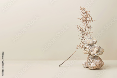 Photography Abstract nature scene with composition of stones and dry branch