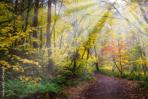 爽やかな空気感が素晴らしい、秋の福島・裏磐梯・五色沼周辺のハイキングコース