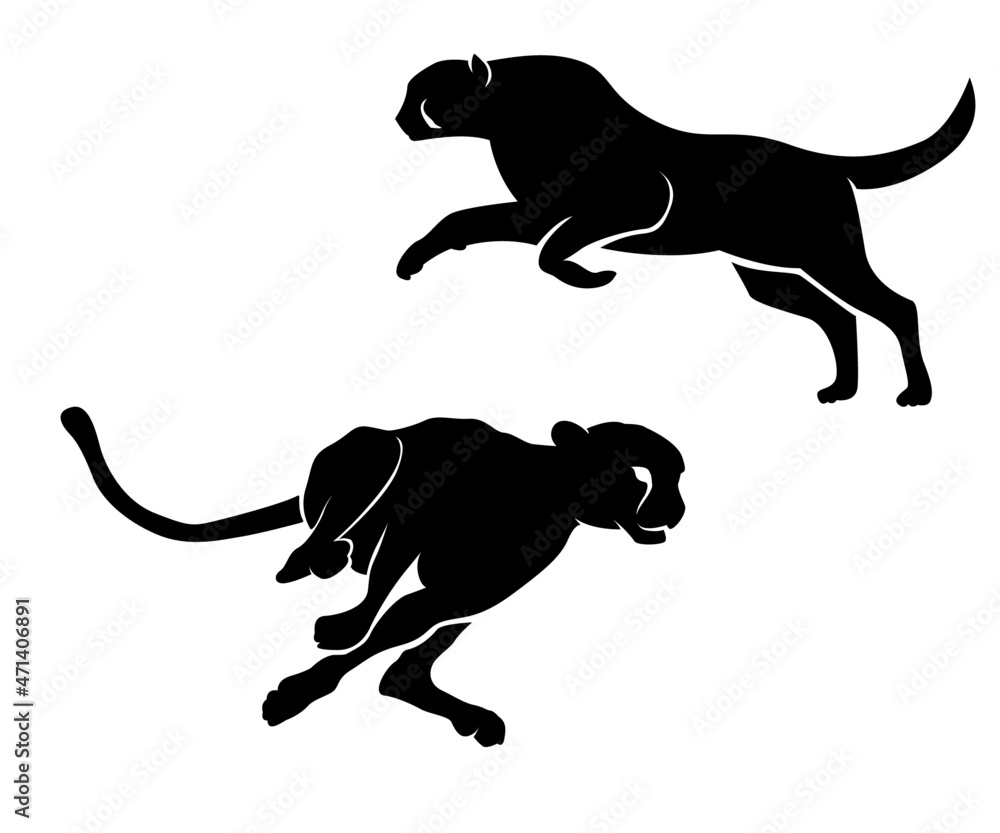 panther running, silhouette of cheetah, cheetah running