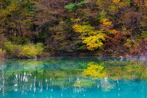 紅葉に彩られる福島・裏磐梯の絶景 青色の水面が美しい五色沼