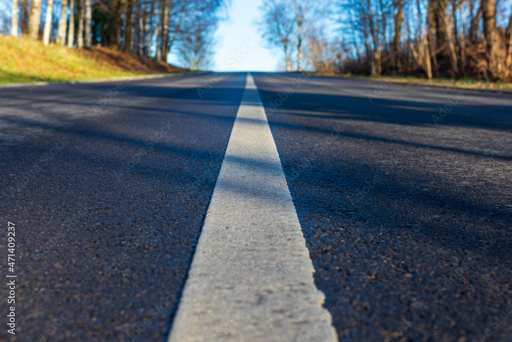 Obraz premium Asphalt road with white lane runs through the forest in autumn evening.