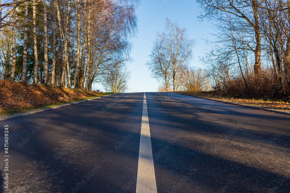 Fototapeta premium Asphalt road with white lane runs through the forest in autumn evening.