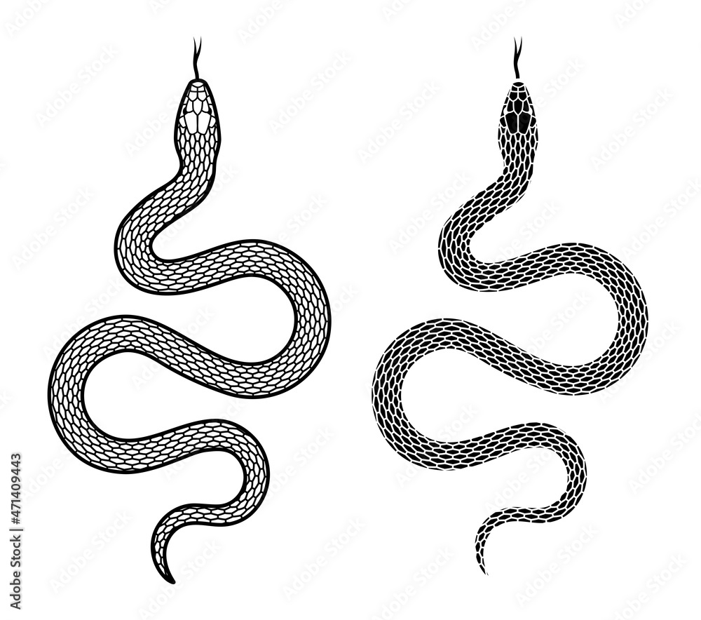 Snake on a white background, two options. Vector illustration. Snake on a white background, two options. Vector illustration.