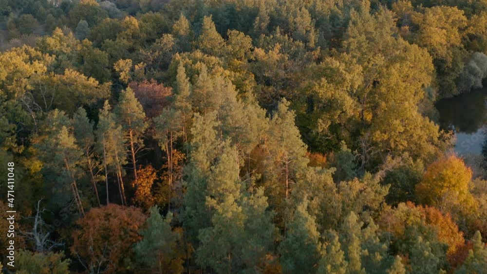 Autumn deciduous forest top view, natural background or texture. Autumn deciduous forest top view, natural background or texture.