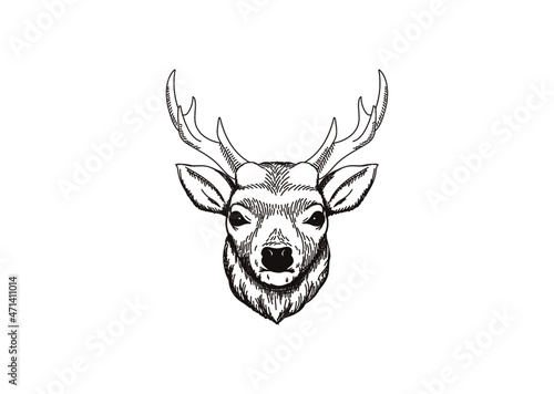 手書きイラスト - 鹿 (エゾシカ) / Deer handwritten illustration 