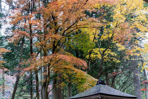 秋の横蔵寺の境内
