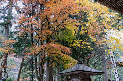 秋の横蔵寺の境内