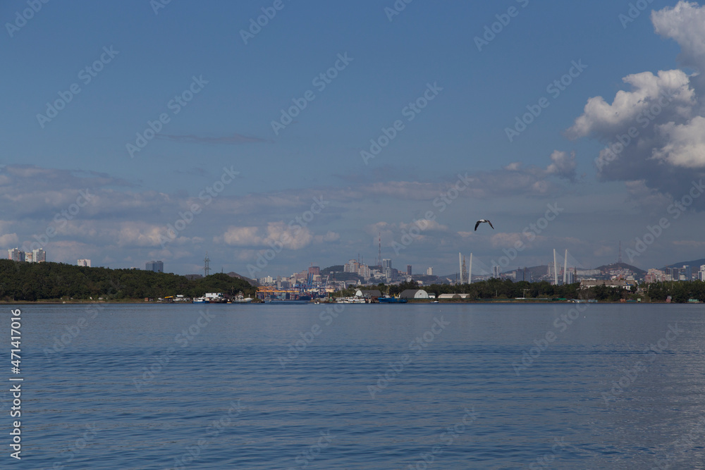 day view of the sea, islets, capes, white clouds, a seagull bird flying in the blue sky and the city in the background. Shot in the Novik harbor on island Russky in Vladivostok, Russia