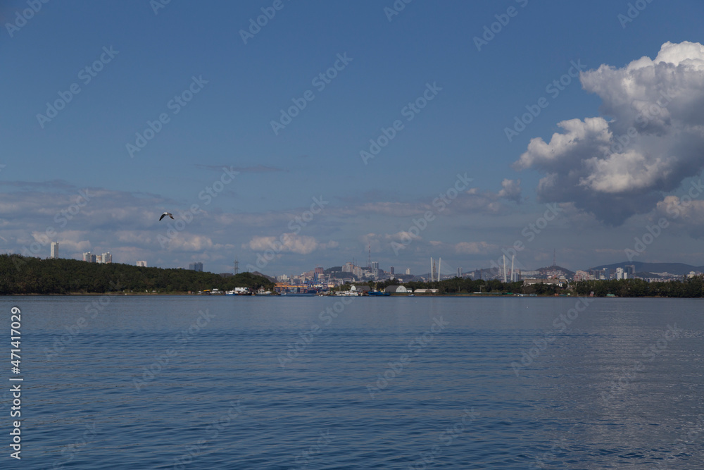 day view of the sea, islets, capes, white clouds, a seagull bird flying in the blue sky and the city in the background. Shot in the Novik harbor on island Russky in Vladivostok, Russia