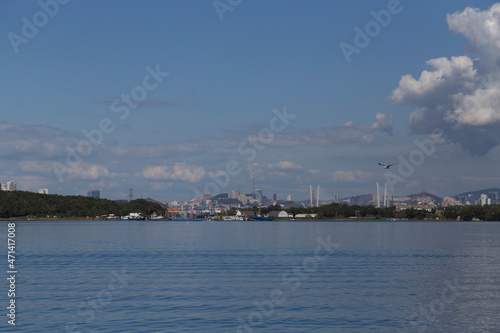 day view of the sea, islets, capes, white clouds, a seagull bird flying in the blue sky and the city in the background. Shot in the Novik harbor on island Russky in Vladivostok, Russia © Liza