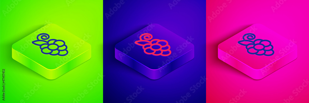 Isometric line Grape fruit icon isolated on green, blue and pink background. Square button. Vector Isometric line Grape fruit icon isolated on green, blue and pink background. Square button. Vector