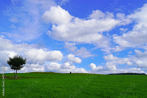 Landscape in the Sauerland near Oberhenneborn. Green meadows with blue sky and white clouds. 
