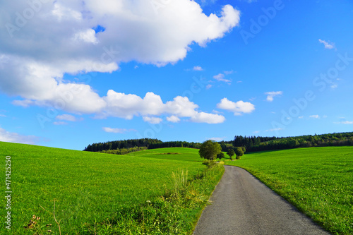 Landscape in the Sauerland near Oberhenneborn. Panoramic view of the green nature with hills and forests. 