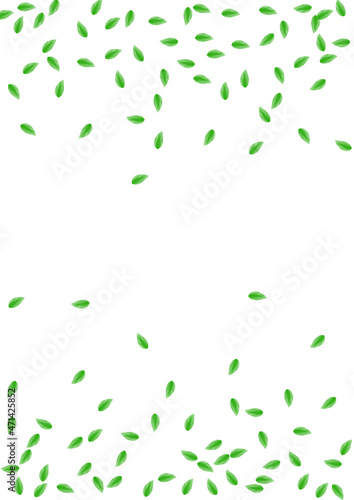 Greenish Foliage Background White Vector. Plant Copy Texture. Element Design. Green Cover Illustration. Leaf Wild.