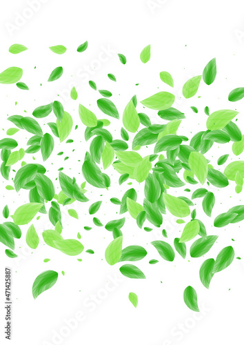 Green Vegetation Background White Vector. Sheet Delicate Frame. Cover Illustration. Greenish Simple Design. Greenery Peaceful.