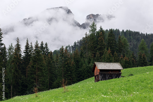 Alpine landscape on a foggy day (Italian Dolomites, Alto Adige)