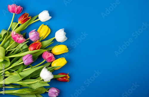 Mix of spring tulips flowers. Blue background with flowers tulips close-up different colors. Multi-colored spring flower. Gift. Red, pink, white and yellow. Copy space.