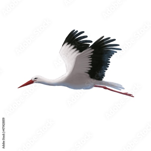 flying stork watercolor style illustration, animal clipart