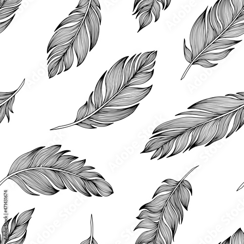 Vector feather pattern. Hand drawn illustration. Vector 10 EPS.