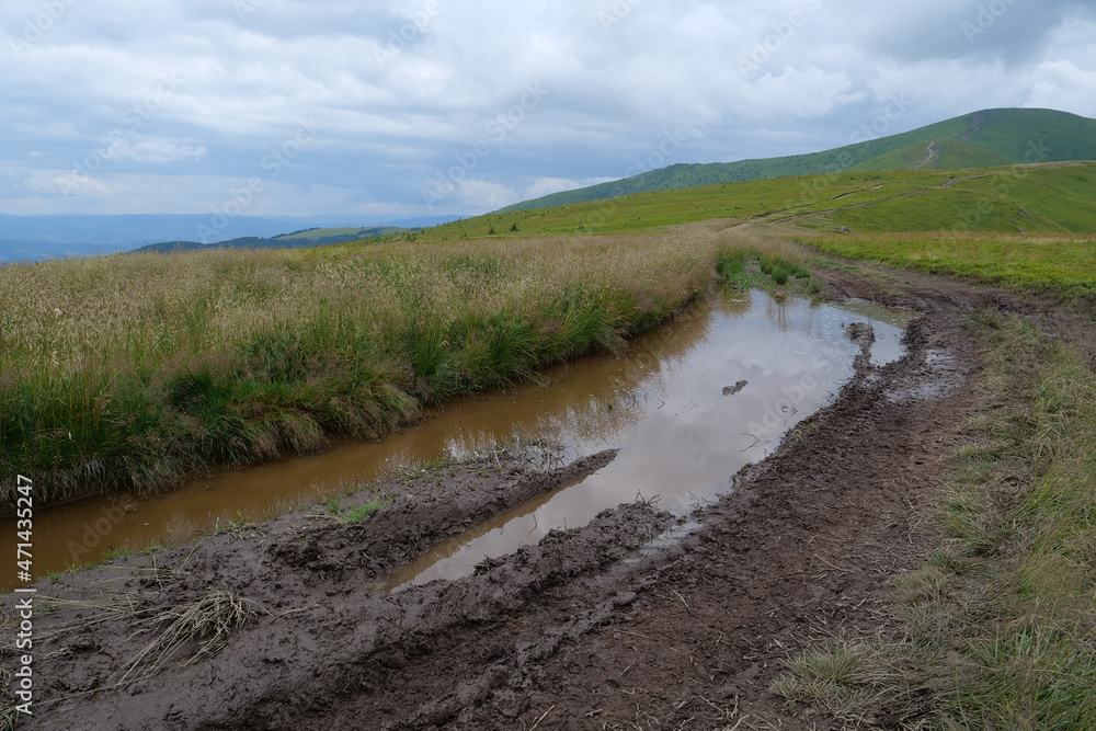 Puddles on dirt road after rain