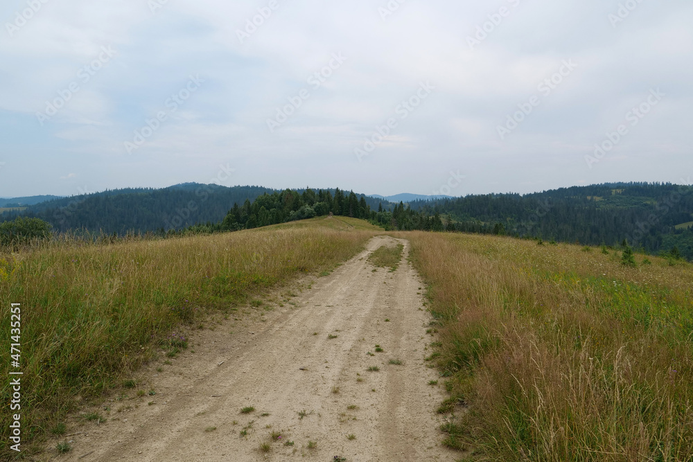 Dirt road in beautiful Carpathian Mountains, Ukraine