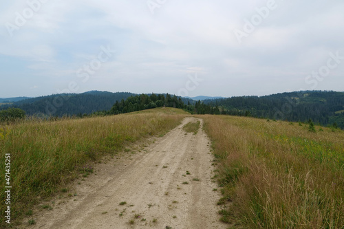 Dirt road in beautiful Carpathian Mountains  Ukraine