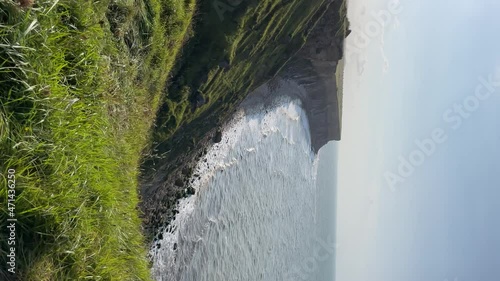 Vertical View of green gras waving in the wind. Gorgeous view from Cap Manvieux during sunny day on the Coastal cliffs at Normandie D Day Landing Beach, France. photo