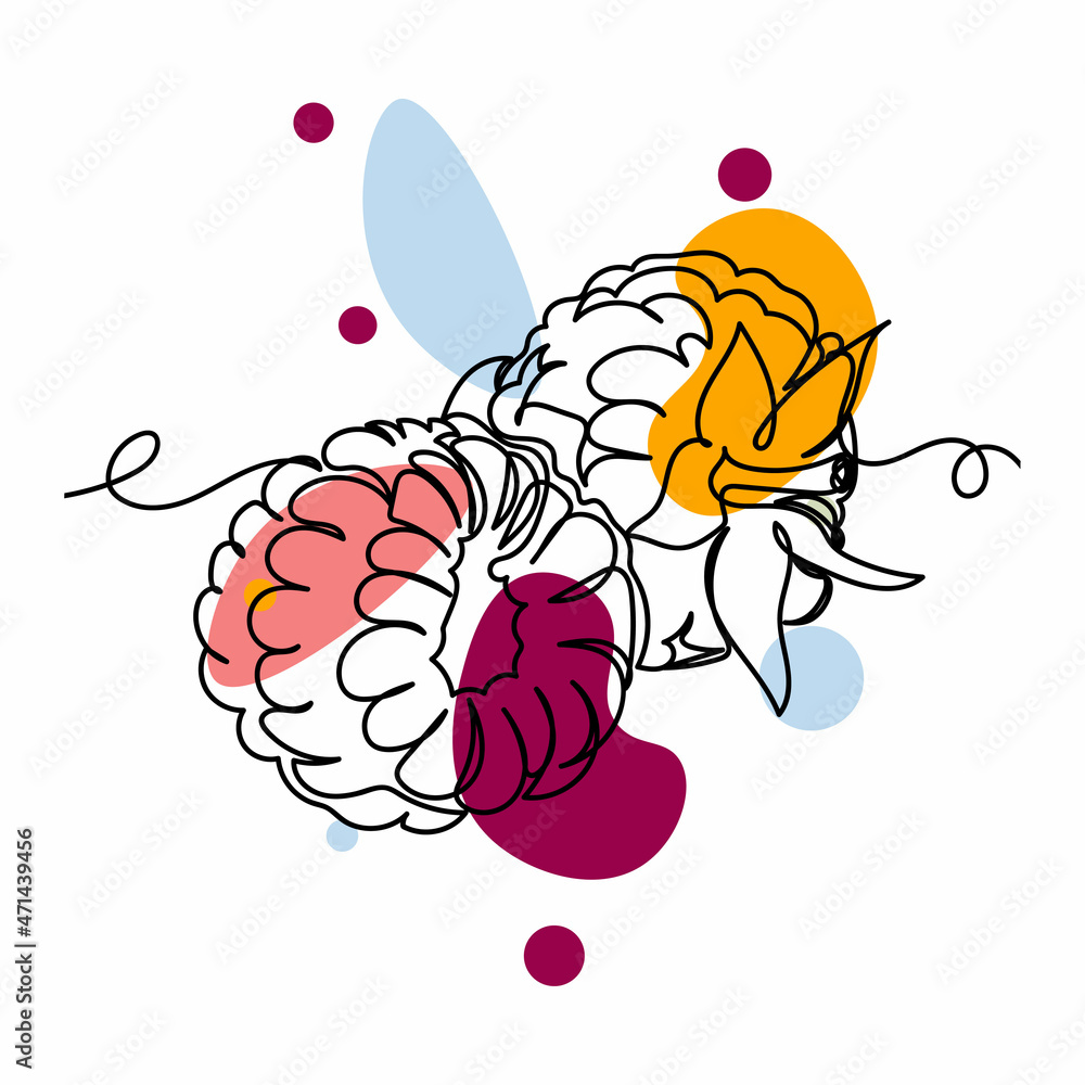 Vector abstract continuous one single simple line drawing icon of raspberries organic food in silhouette sketch. Perfect for greeting cards Vector abstract continuous one single simple line drawing icon of raspberries organic food in silhouette sketch. Perfect for greeting cards