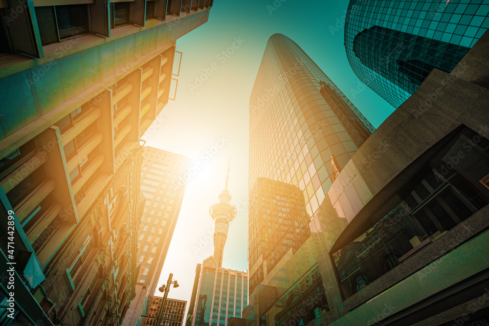 Fototapeta premium TV tower and commercial building in Auckland, New Zealand