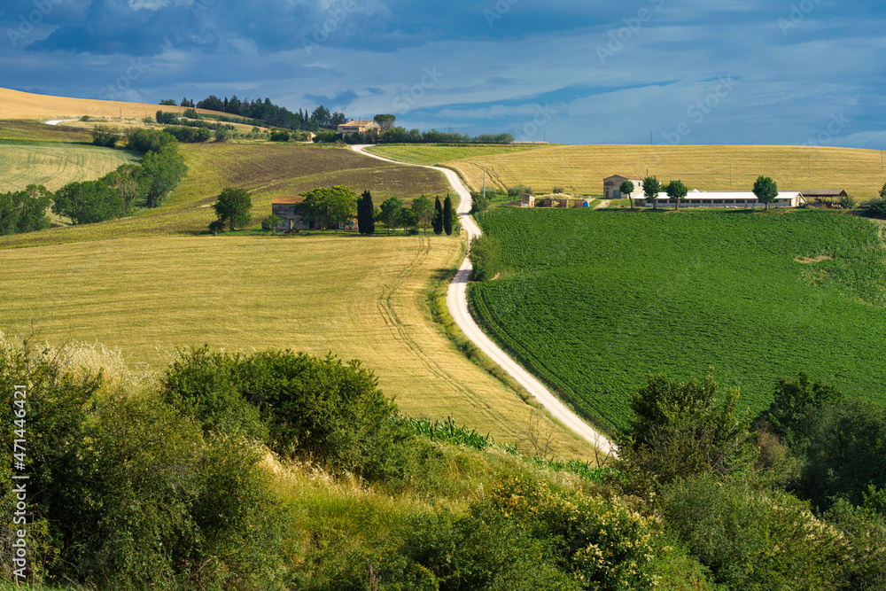 Rural landscape near Ostra Vetere and Cingoli, Marche, Italy