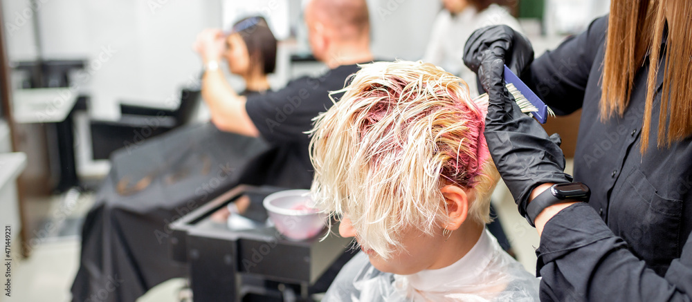 Obraz premium The professional hairdresser uses a brush to apply the pink dye to the hair. Hair coloring concept
