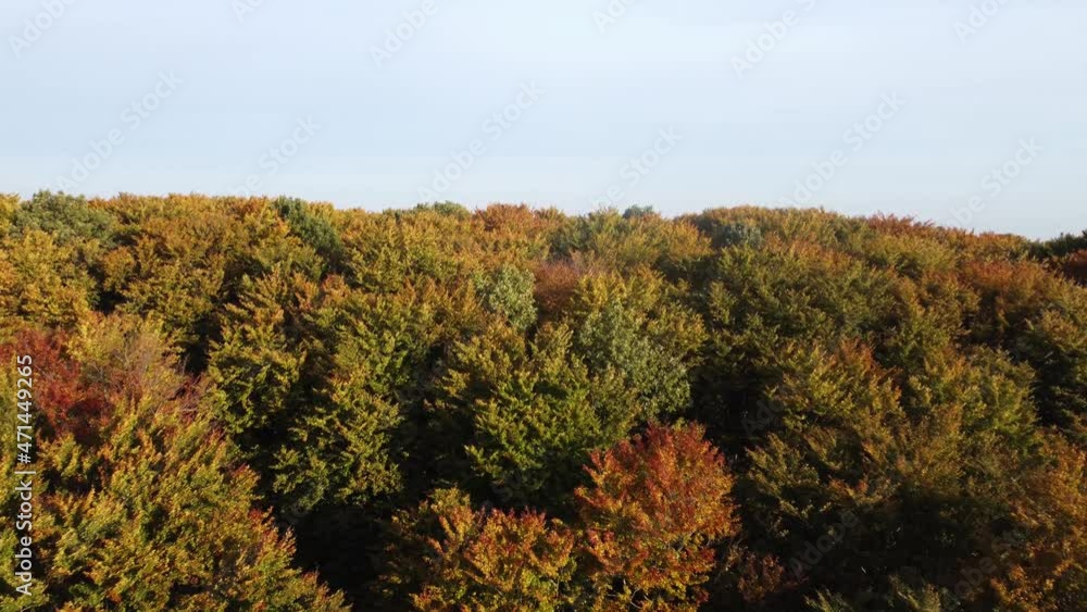 Aerial view on autumn park in european city. High quality 4k birdseye footage Aerial view on autumn park in european city. High quality 4k birdseye footage