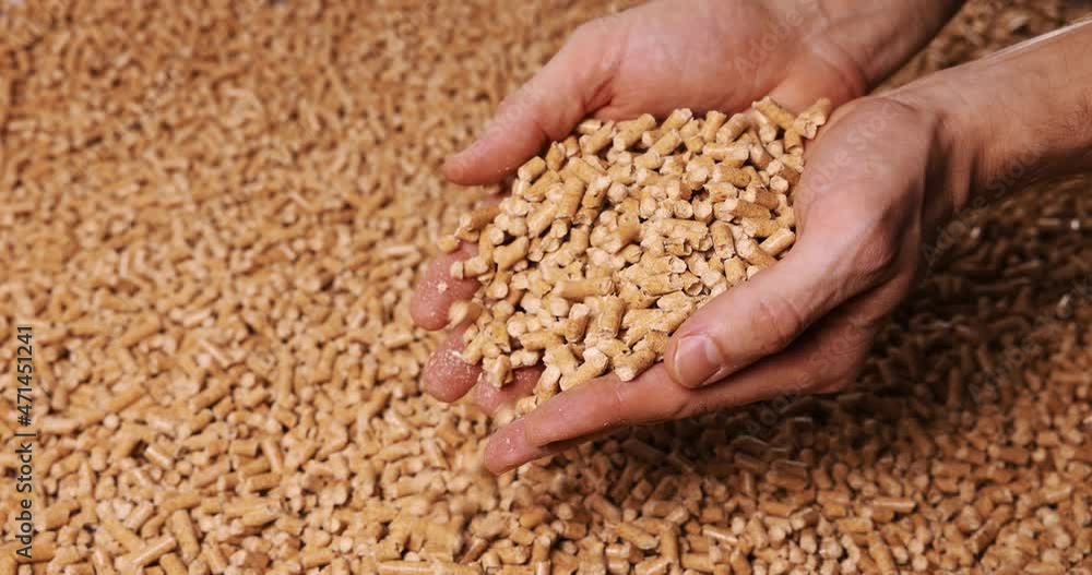 wood pellets in hands. biomass, renewable energy