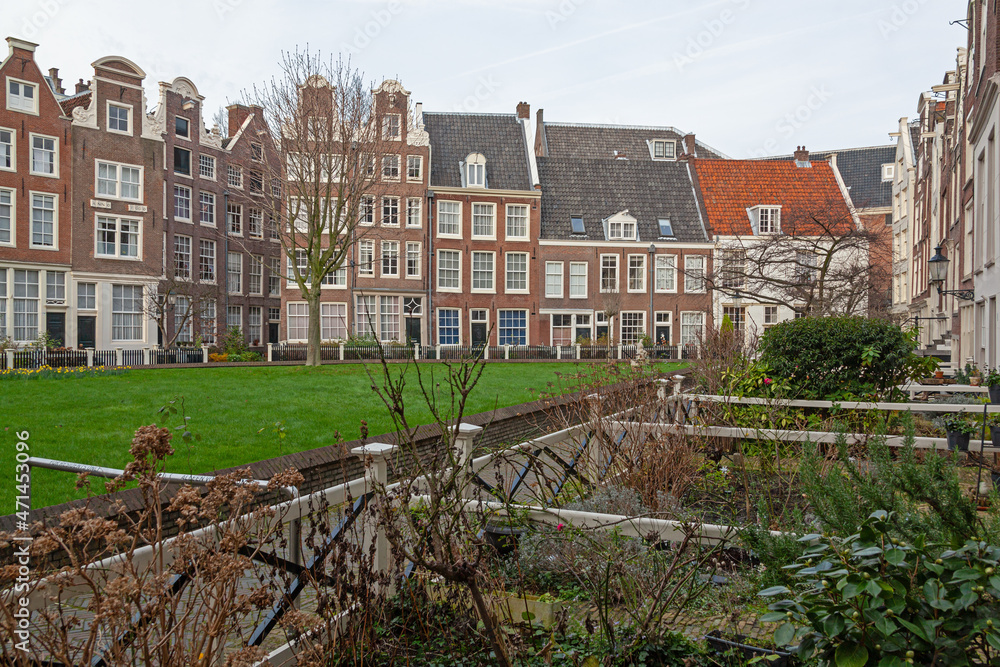Begijnhof  is one of the oldest inner courts of Amsterdam with group of narrow historic houses in green garden, Netherlands.
