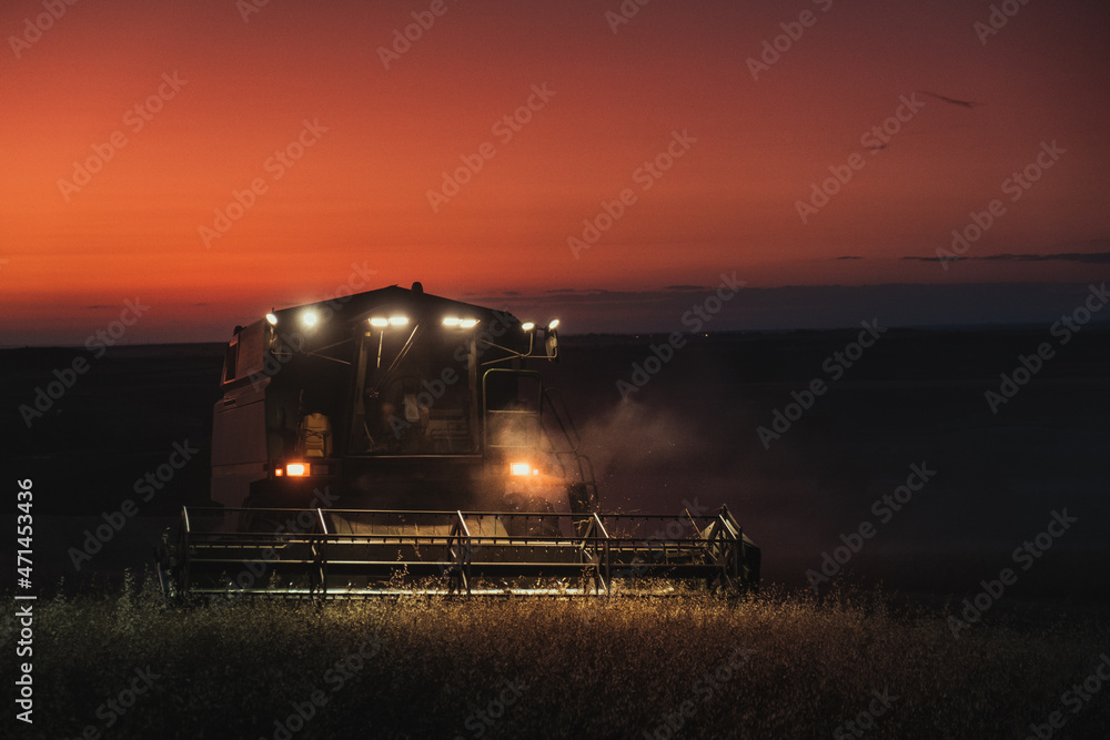 Combine harvester working in a wheat field at night with lights on and red sky at sunset