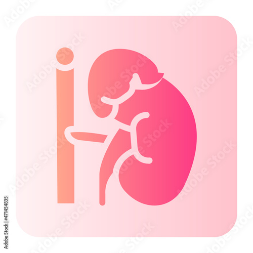 adrenal gland gradient icon