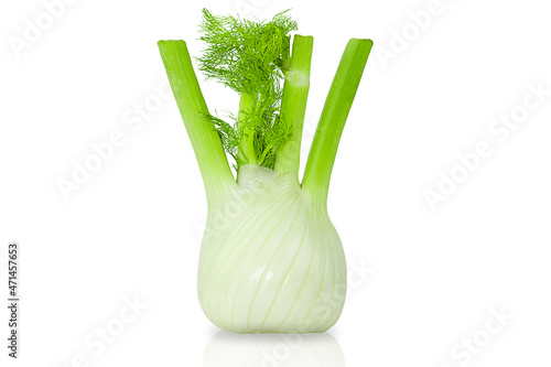 fennel isolated on the white background