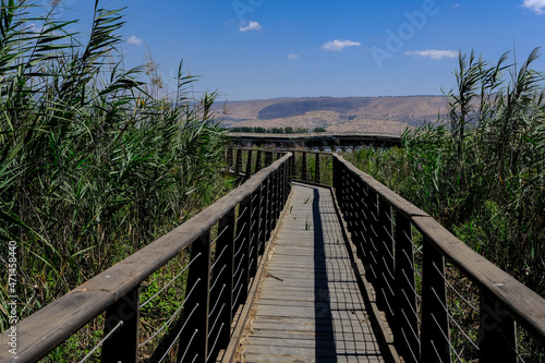 View of the water marshes and the wetland plants as seen from the observation tower in Hula Nature Reserve, Hula Valley, Upper Galilee, Northern Israel, Israel.  © MoVia1