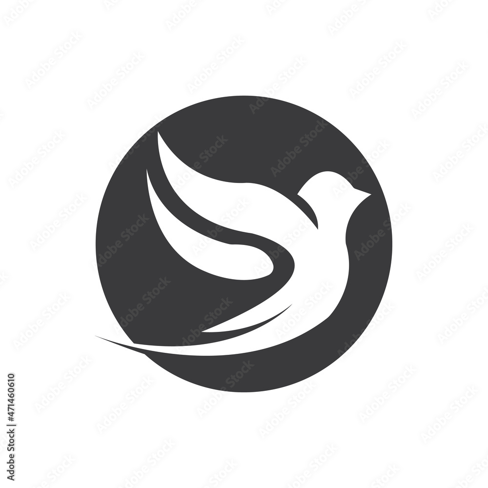 Abstract Bird logo design template