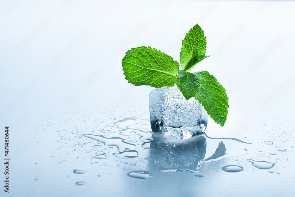 Top view of mint leaves with ice cubes and water drops on pastel background Top view of mint leaves with ice cubes and water drops on pastel background