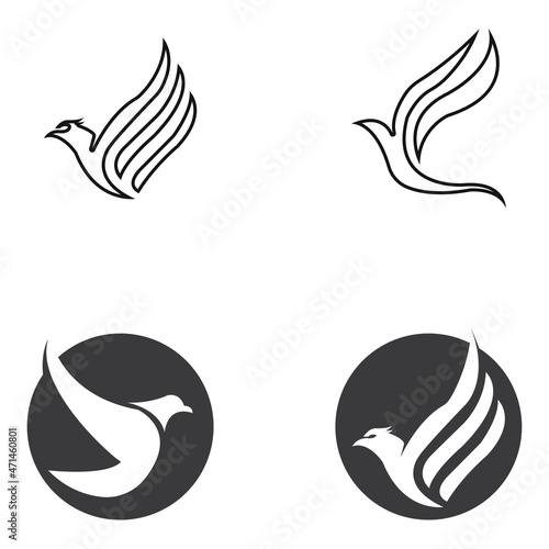 Fototapeta Naklejka Na Ścianę i Meble -  Abstract Bird logo design template
