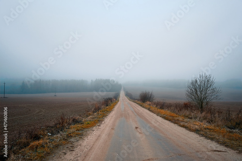 Autumn road through foggy landscape. Autumn foggy rustic landscape with asphalt road in background. Fog over country asphalt road leading through the field