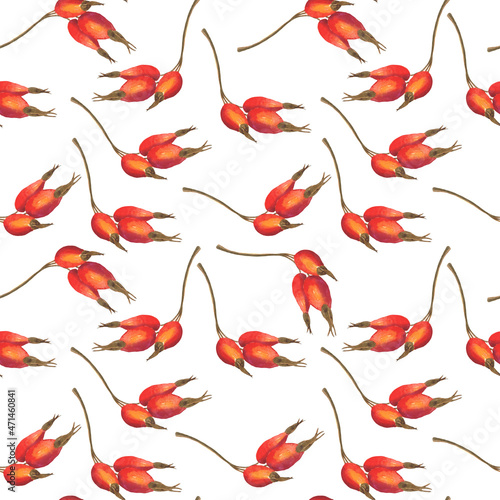Rose hip berry in seamless pattern isolated on white background. Watercolor hand drawing illustration. Perfect for food design  textile  wrapping.