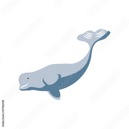 beluga whale icon