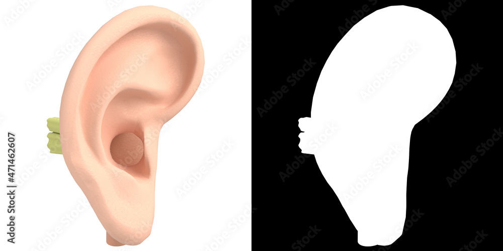 3D rendering illustration of human ear anatomy Stock Illustration ...