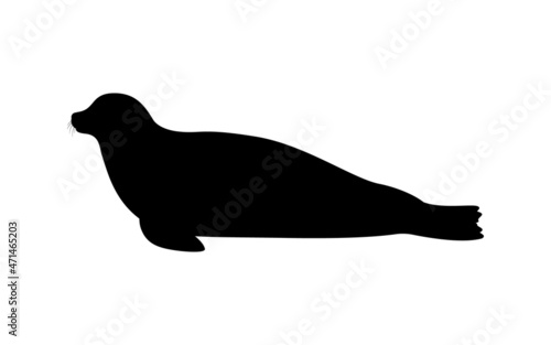 Silhouette of a seal
