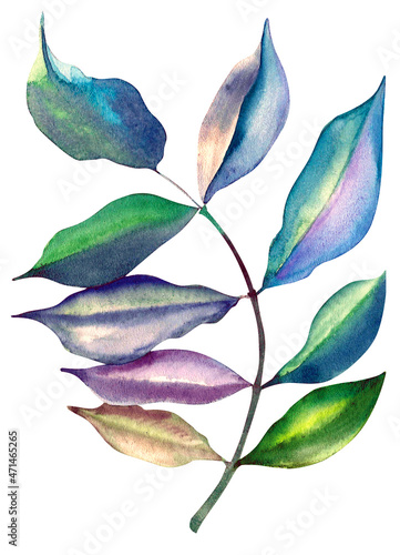 A branch of spring. Hand-drawn watercolour illustrations. Botanical clipart. A floral design element. Suitable for fabric design, invitations, greeting cards, blogs, posters and more